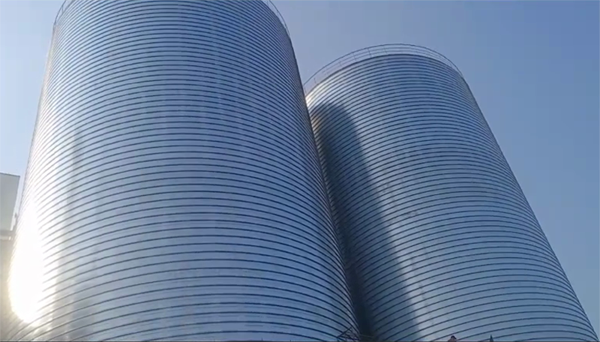 南涧2座混凝土高架卷板仓